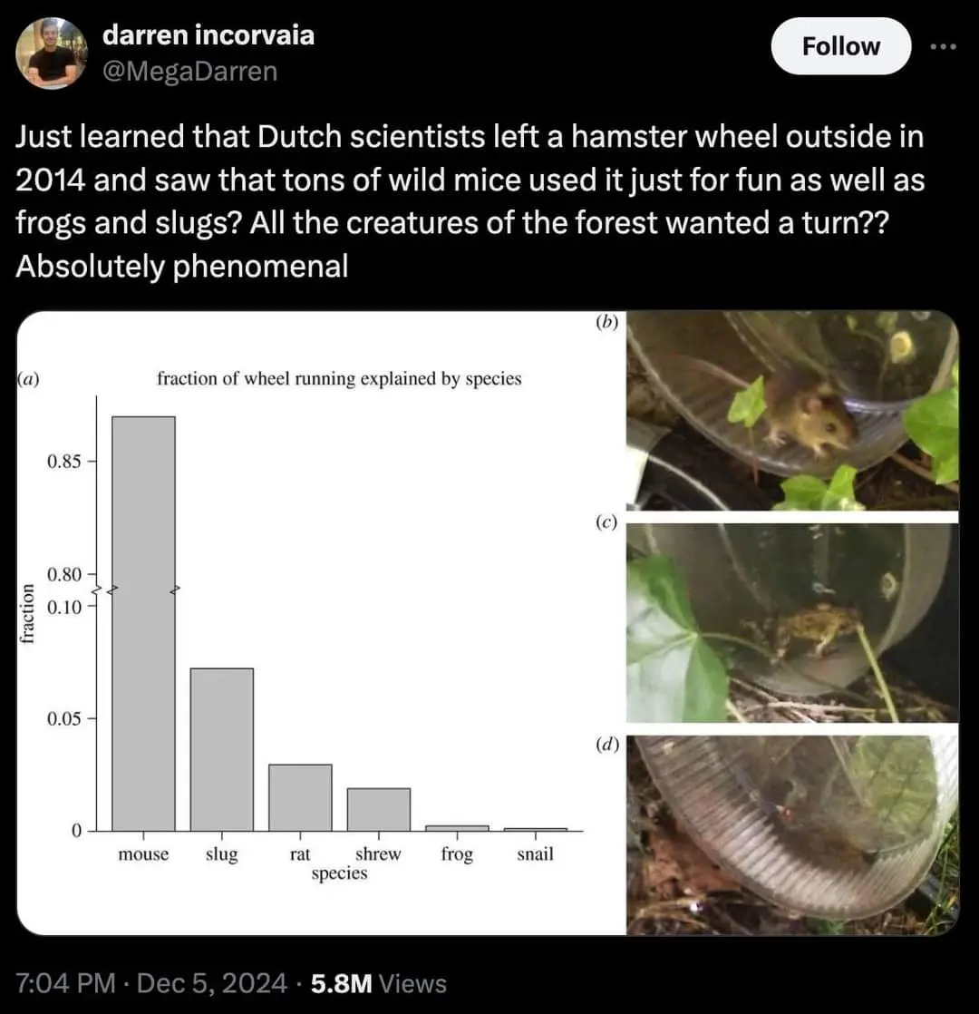 A tweet by Darren Incorvaia shows a bar chart titled 'fraction of wheel running explained by species' with mice dominating…