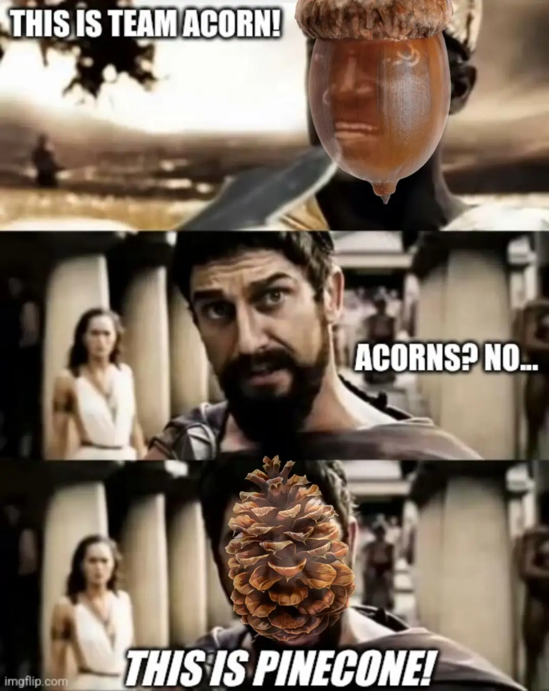 A three-panel meme using scenes from '300' featuring a character with an acorn superimposed on his head, then a pinecone…