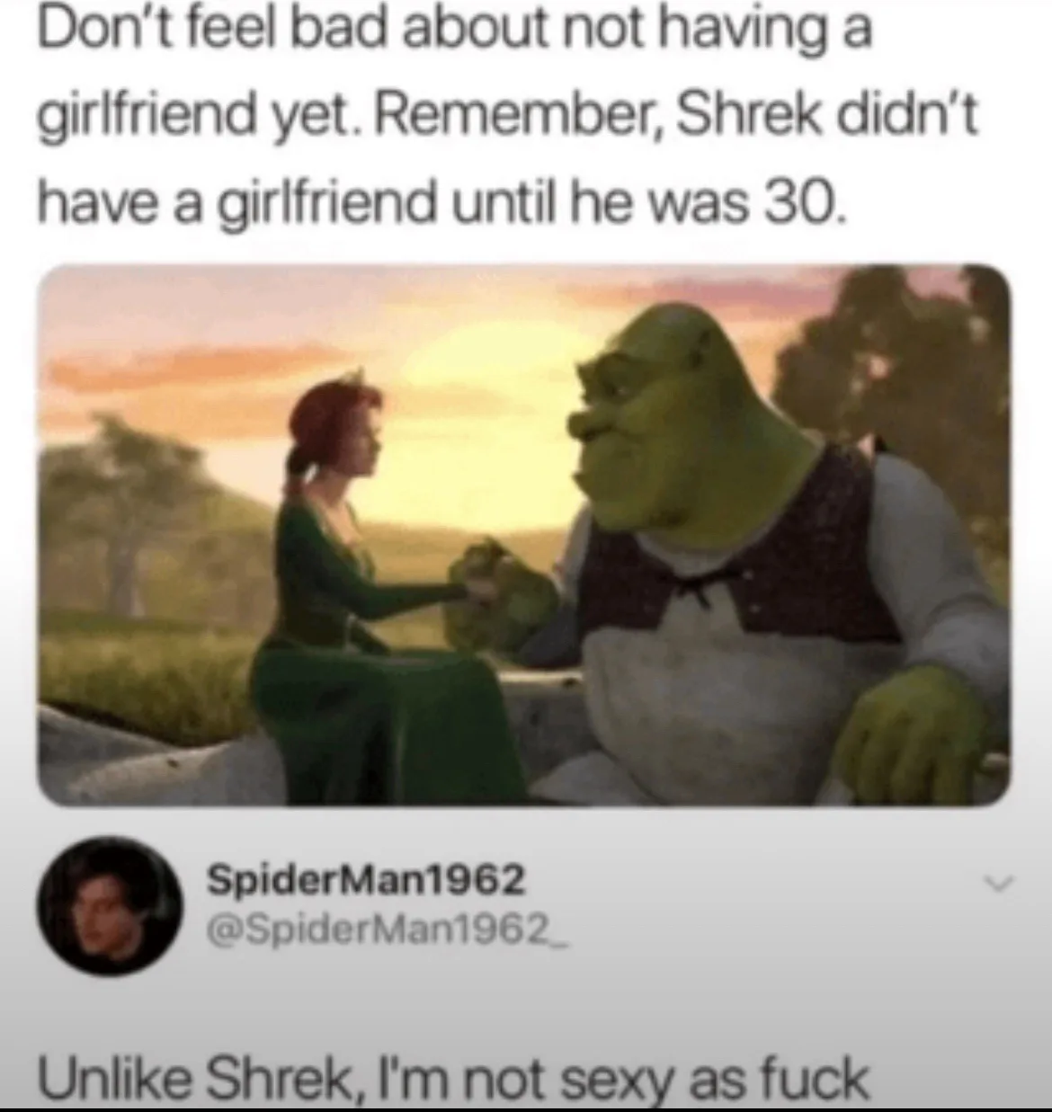 The image shows Shrek and Fiona from the movie Shrek, sitting together at sunset. The overlaid text reads: 'Don't feel bad…