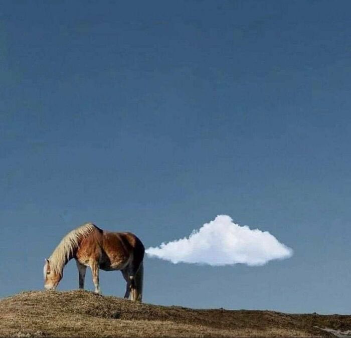 A brown and white horse with a blonde mane is grazing on a dry, grassy hill under a vast blue sky. A single, fluffy white…