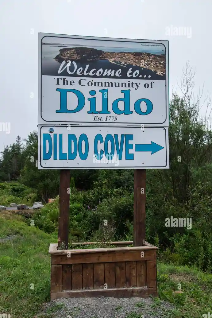 A roadside sign welcomes visitors to 'The Community of Dildo' established in 1775, with a lower sign pointing right to…