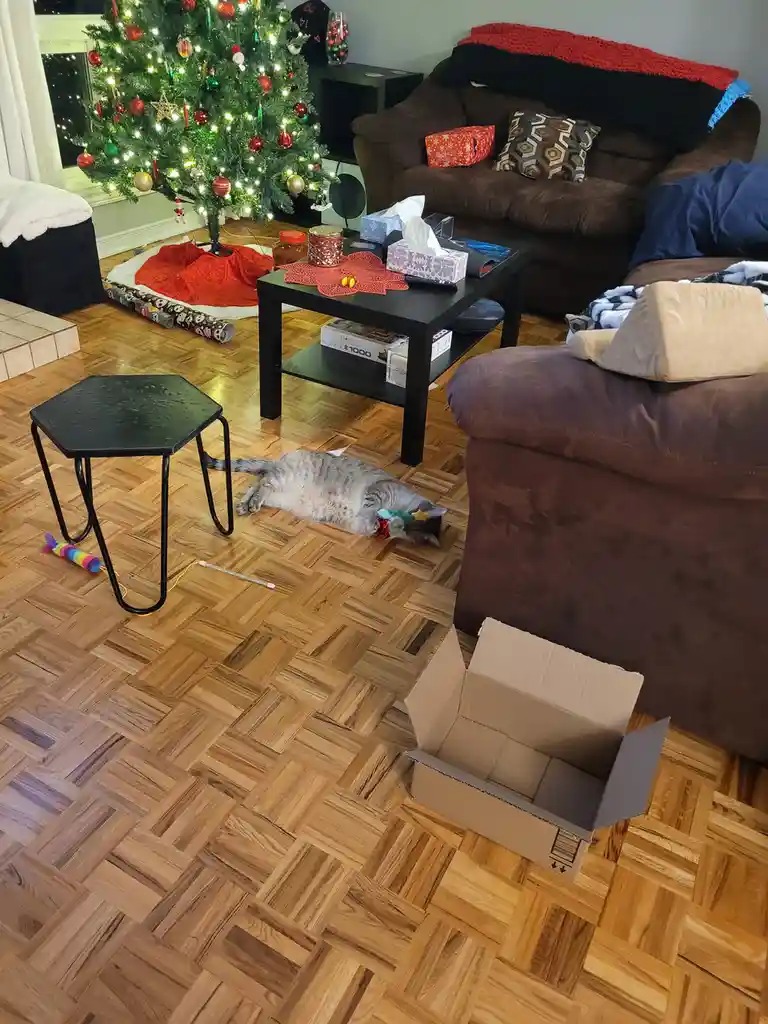 Mittens just got a fabulous new toy for Christmas! Huge thanks to the thoughtful friend who gifted it!