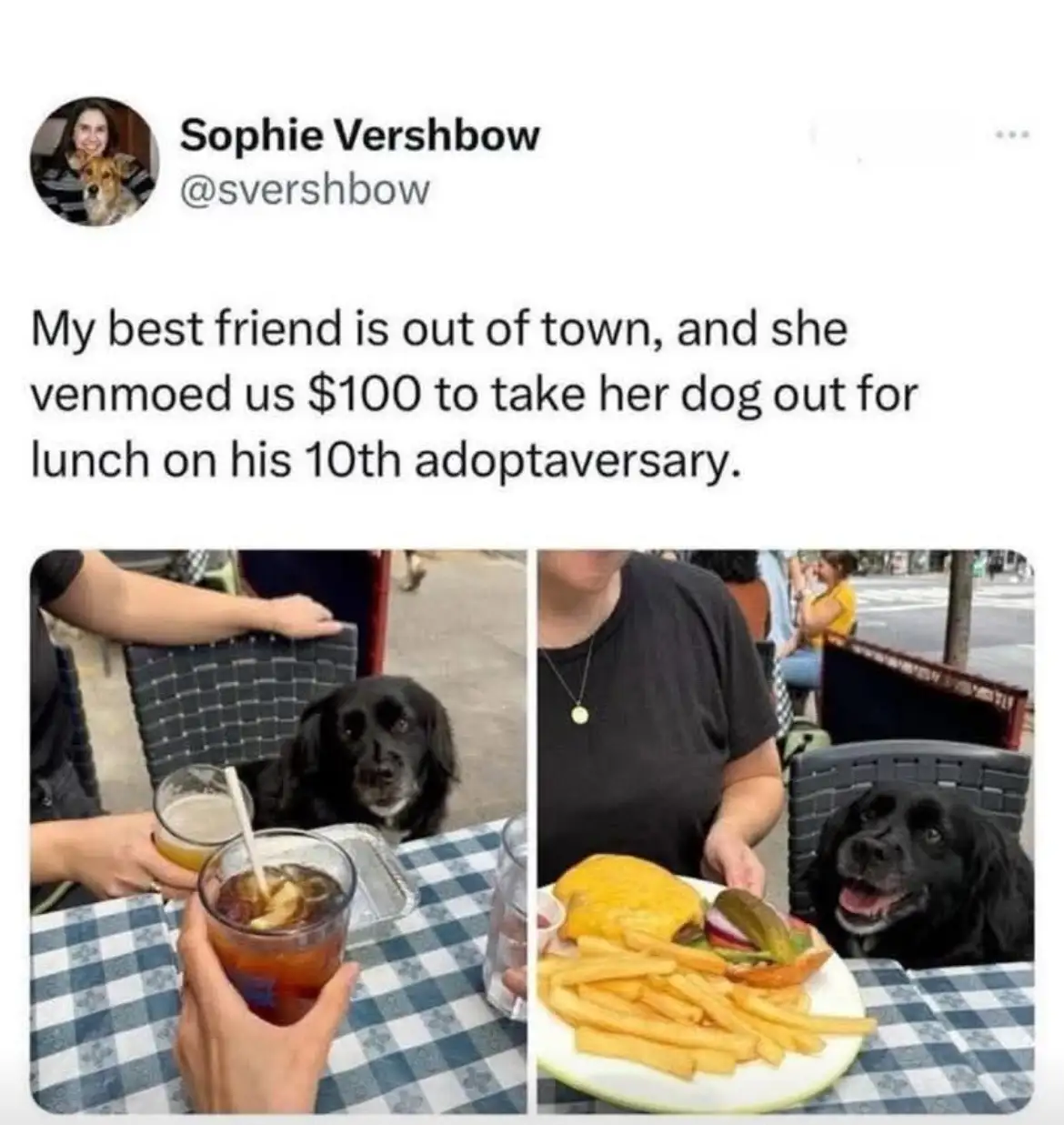 Two side-by-side photos show a black dog at an outdoor restaurant table. In the left photo, the dog looks solemnly at the…