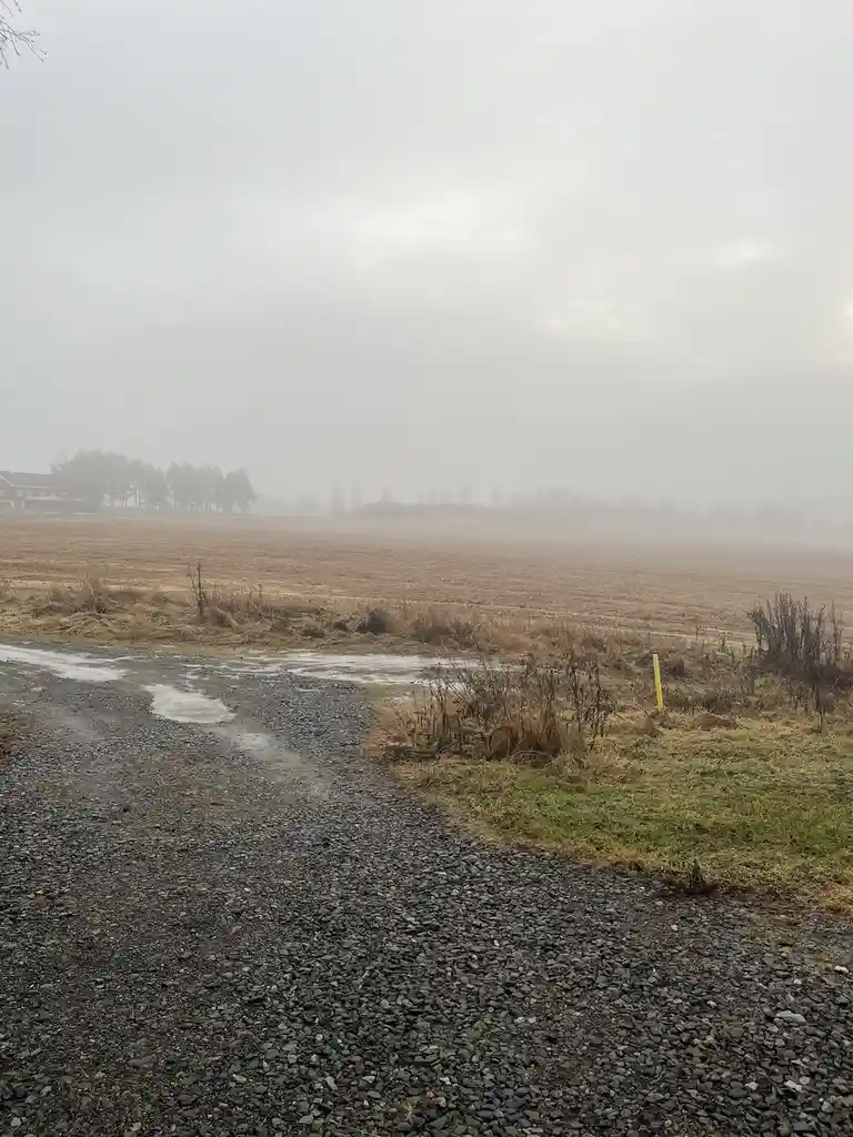 A foggy rural scene with a gravel road leading into a field, a red barn visible in the distance, and a yellow post near the…