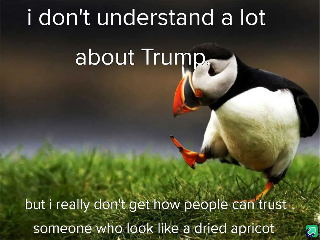 A close-up photograph of a puffin standing on green grass, looking confused or bewildered, with white text overlaid in two…