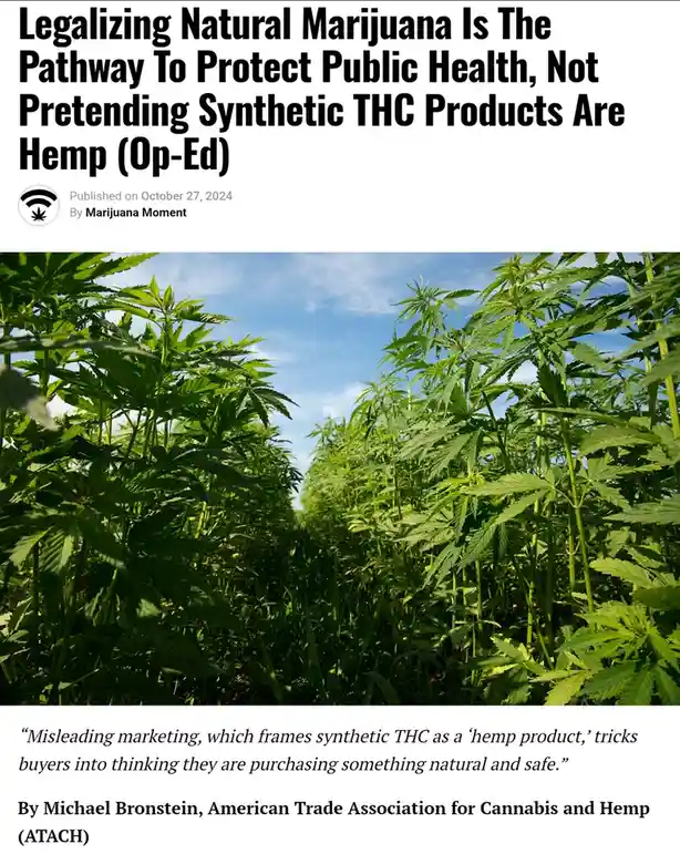 The image displays a newspaper article header with the title 'Legalizing Natural Marijuana Is The Pathway To Protect Public…