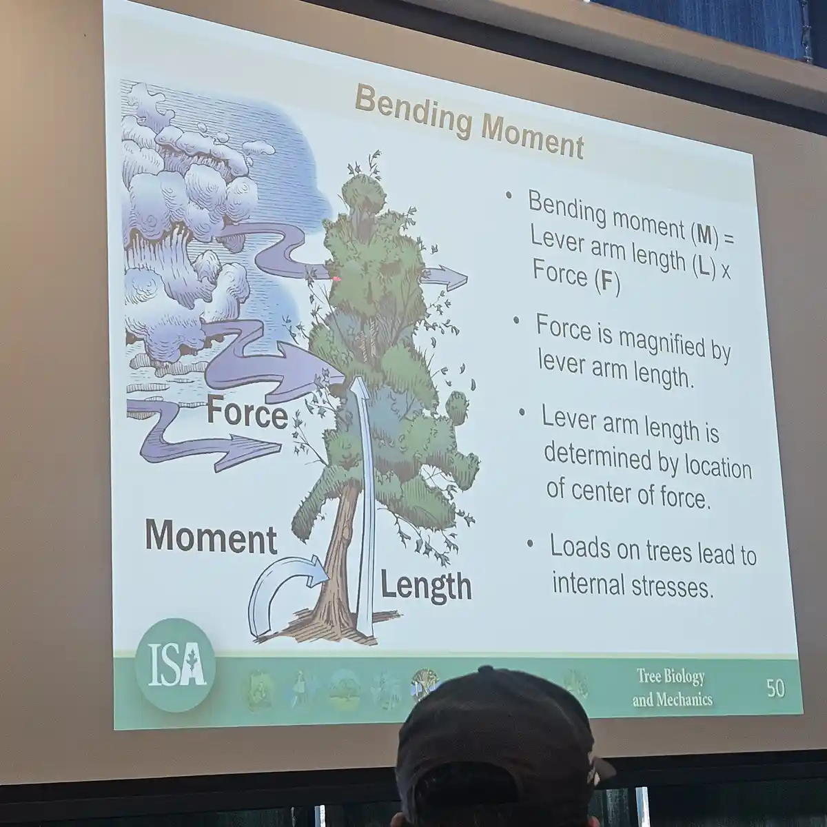 Understanding the Concept of Bending Moments