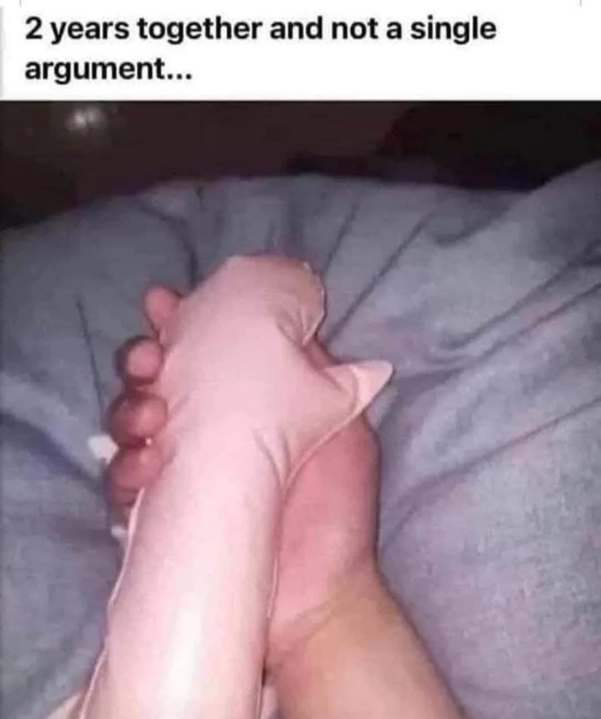 A close-up photo shows a human hand gently holding a cat's paw, which has a distinct pinkish hue and visible toes, resting…