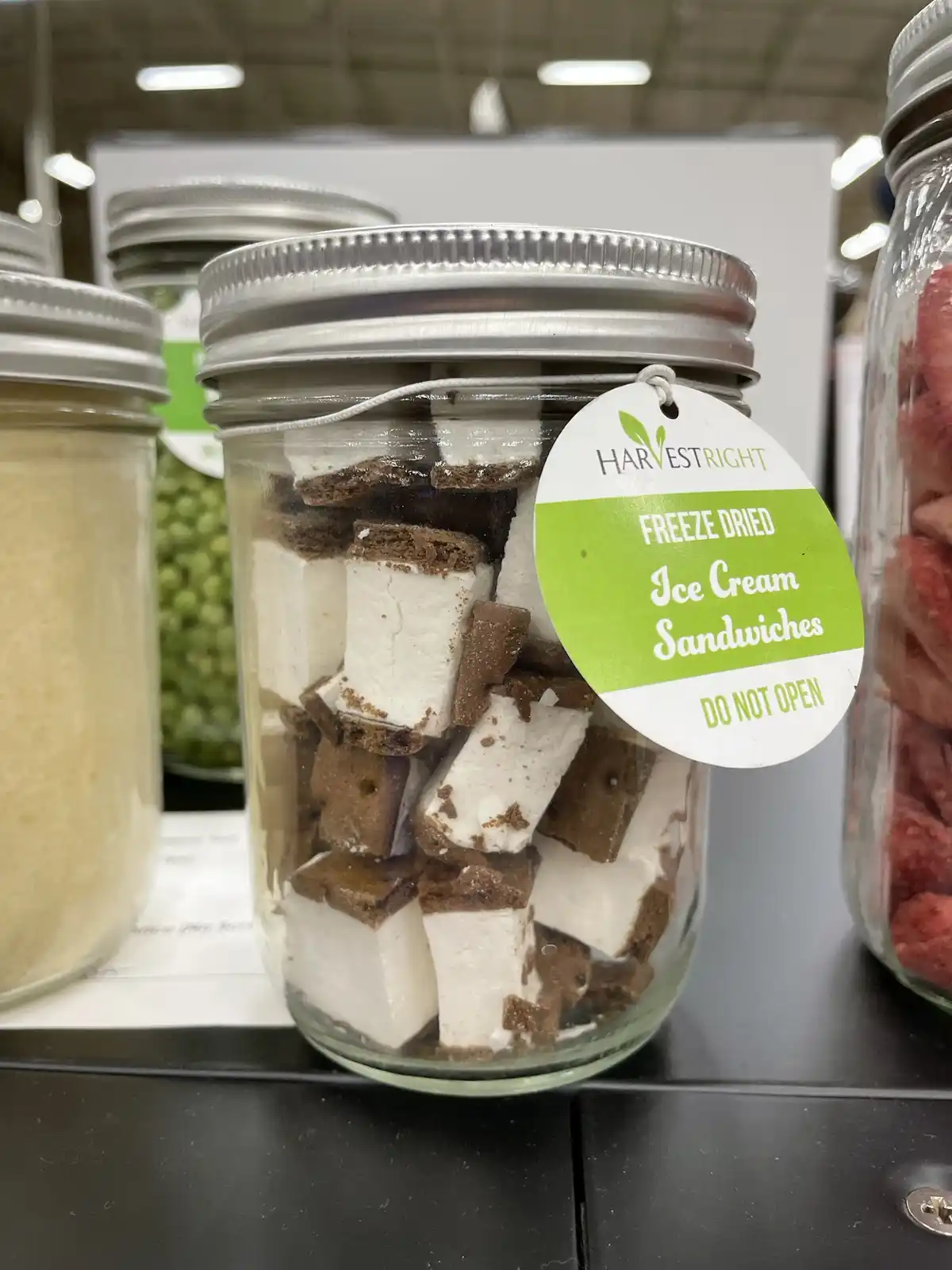 Did You Know? You Can Freeze Dry Ice Cream Sandwiches!