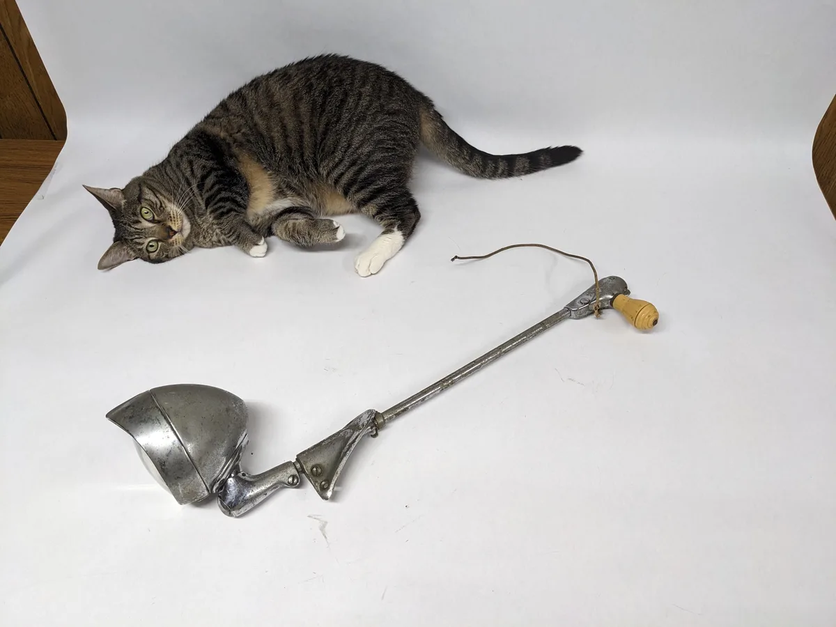A tabby cat with green eyes lies on a white surface, looking at the camera, next to an old-fashioned, long metal lamp with a…