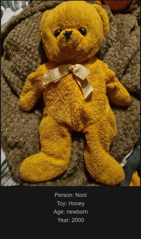 Day 764 - Join Me on a Journey to My Website Celebrating Childhood Memories with Toys! Meet Honey, Our Newest Addition!