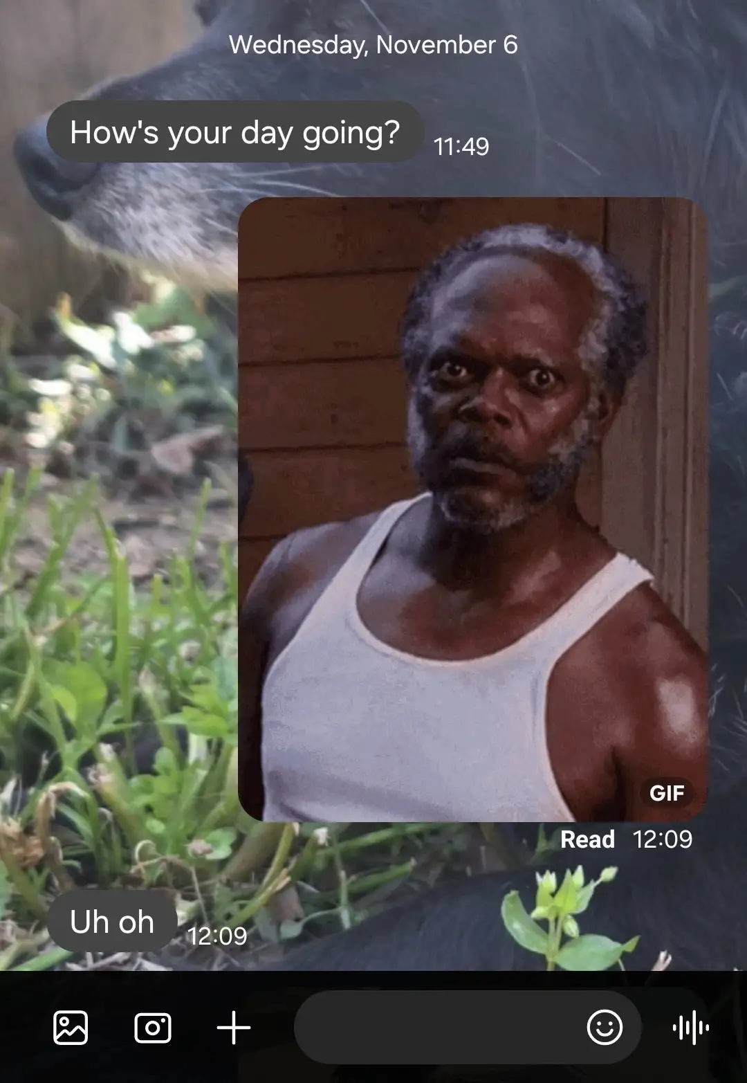 A screenshot of a text conversation shows a message asking 'How's your day going?' followed by a GIF of a man with a shocked…