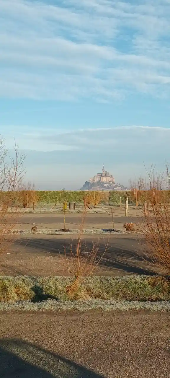 A Mysterious Figure Emerges on the Horizon...