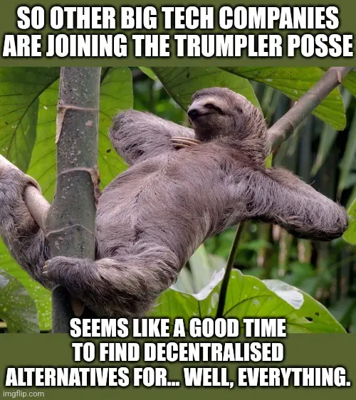 A sloth is hanging lazily from a tree branch in a lush green forest, its body relaxed and eyes half-closed. White bold text…
