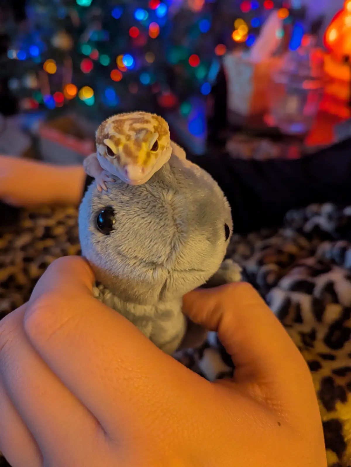 A small leopard gecko with tan and brown markings is perched on top of a grey plush toy resembling a baby animal, which is…