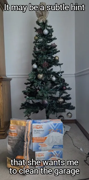 A not-so-subtle hint from my wife...