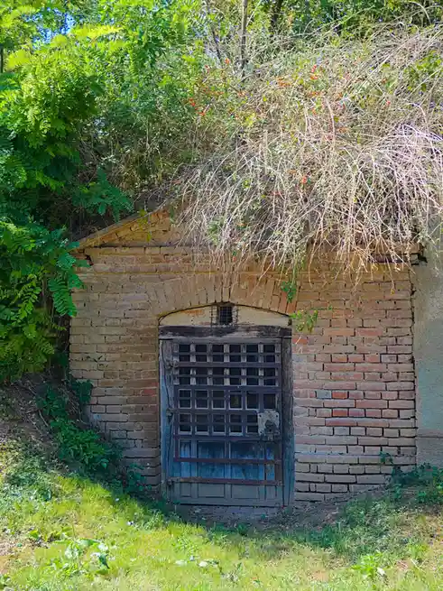 A small, weathered brick structure with a wooden door featuring a metal grid and a padlock, surrounded by overgrown greenery…