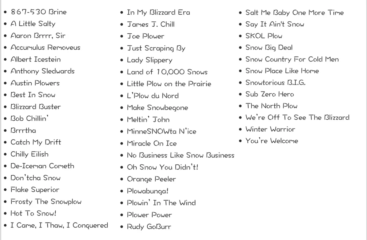 A white background displays three columns of black text listing humorous, snow-themed names and phrases like '867-530…