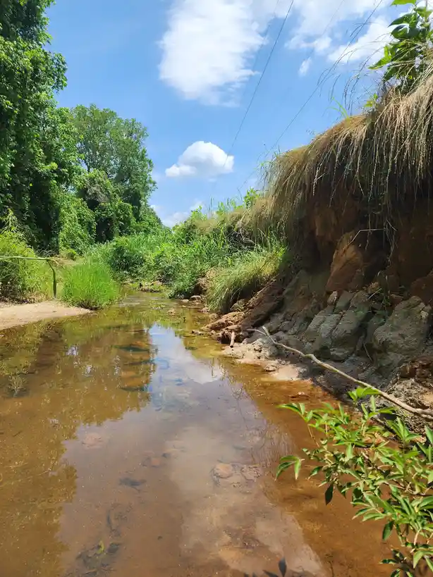 A serene outdoor photo of a shallow, clear creek flowing through a natural landscape with green trees and grasses on both…