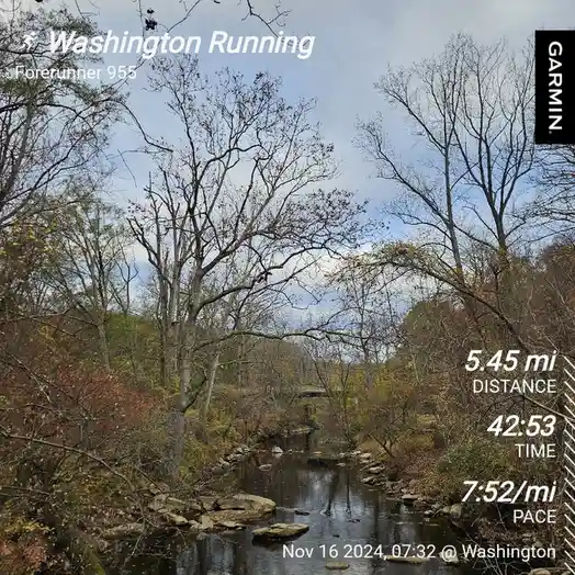 A screenshot of a Garmin Forerunner 955 running GPS watch displaying a workout summary over a scenic autumn forest photo…