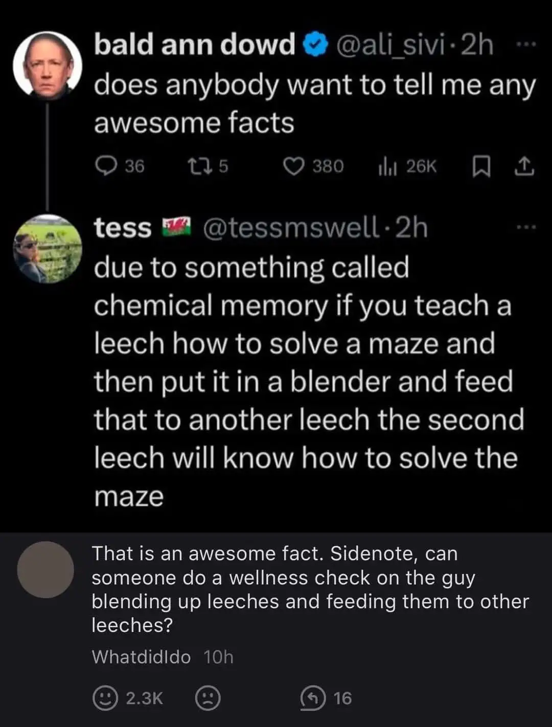 Mind-Blowing Moment