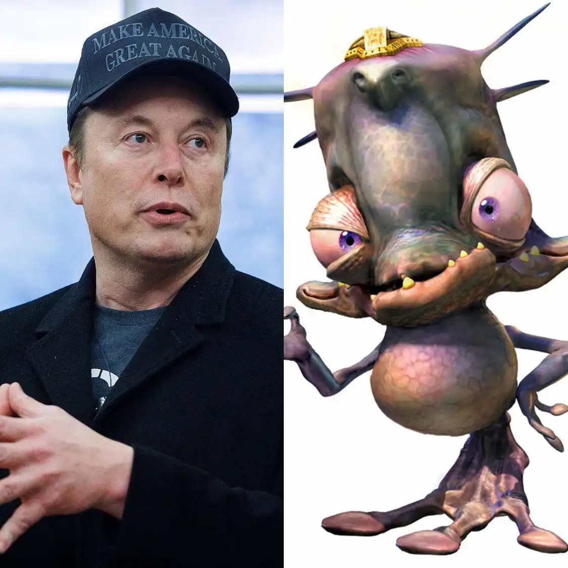 The image is a split-screen meme. On the left, Elon Musk wears a black baseball cap with the text 'MAKE AMERICA GREAT AGAIN'…