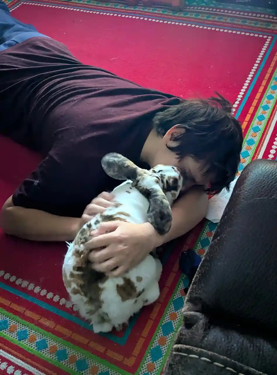 A person in a maroon shirt lies on a colorful red rug, hugging a white and brown spotted rabbit tightly, resting their head…
