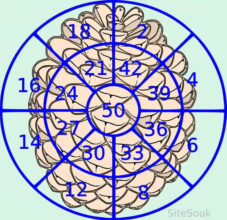 How Sharp is Your Aim Today?