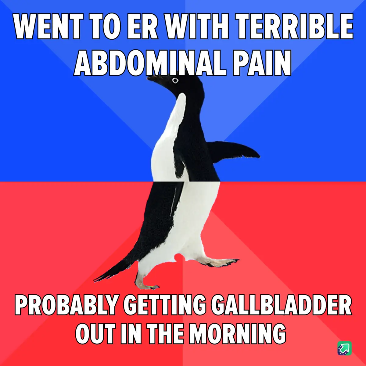 A penguin stands centered against a blue and red background, with bold white text at the top reading 'WENT TO ER WITH…