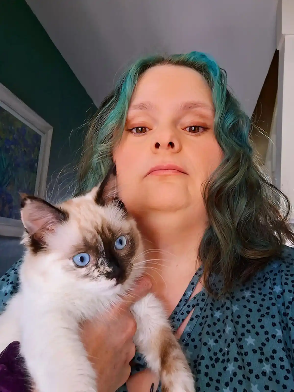 A person with teal-streaked hair holds a fluffy, blue-eyed cat while looking directly at the camera with a deadpan…