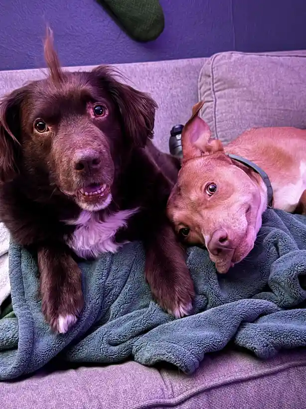Jazz & Jesse: The Ultimate Best Friends Duo