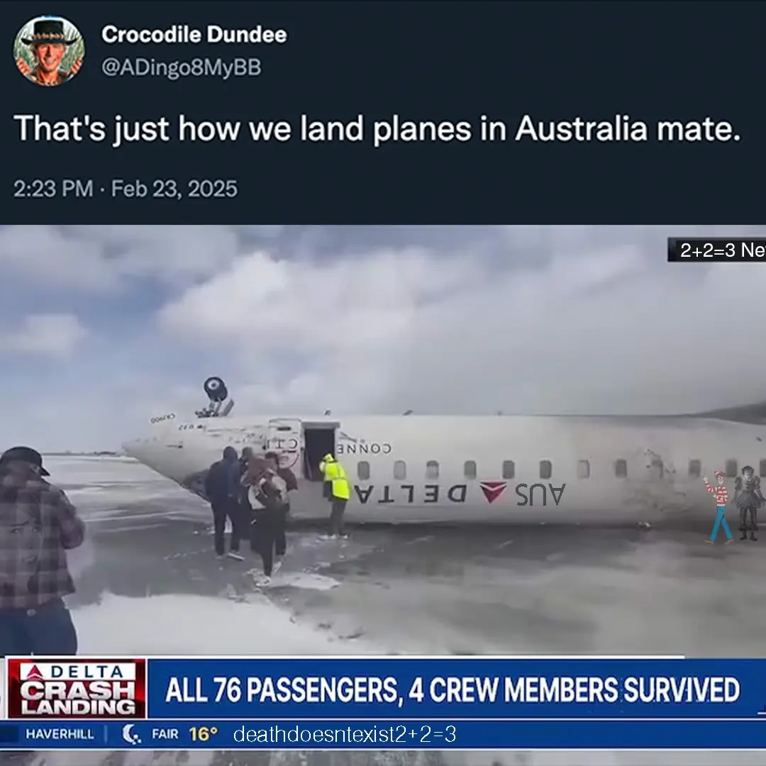 A screenshot of a tweet from 'Crocodile Dundee' (@ADingo8MyBB) dated Feb 23, 2025, showing a Delta Airlines plane that has…