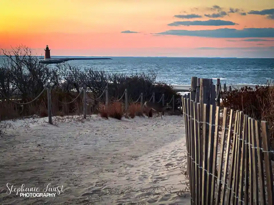 A serene beach scene at sunset with a lighthouse in the distance, featuring two deer walking along a sandy path bordered by…
