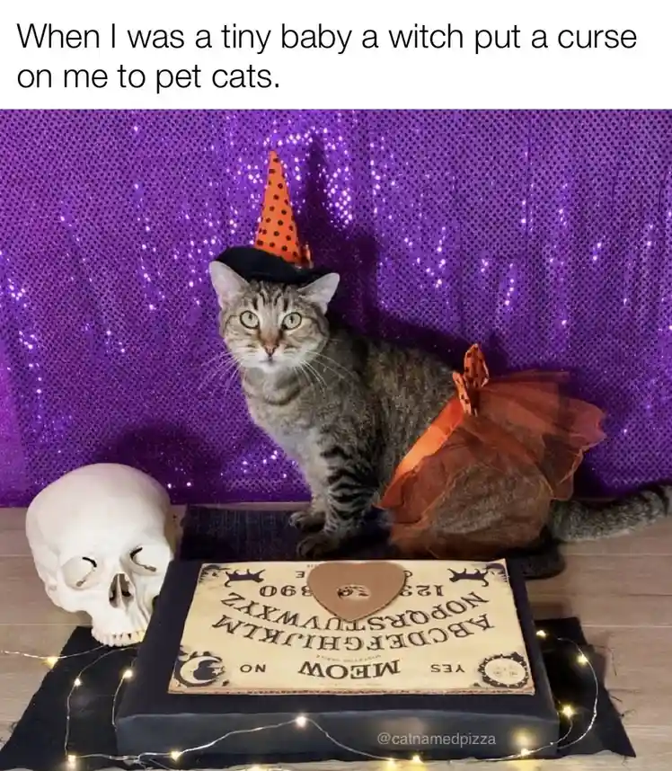 A tabby cat wearing an orange polka-dot witch hat and a matching orange tutu sits atop a Ouija board that has been altered…