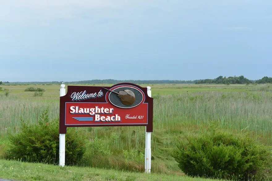 A red and white roadside sign reads 'Welcome to Slaughter Beach Founded 1881' with a graphic of a hat inside an oval. The…