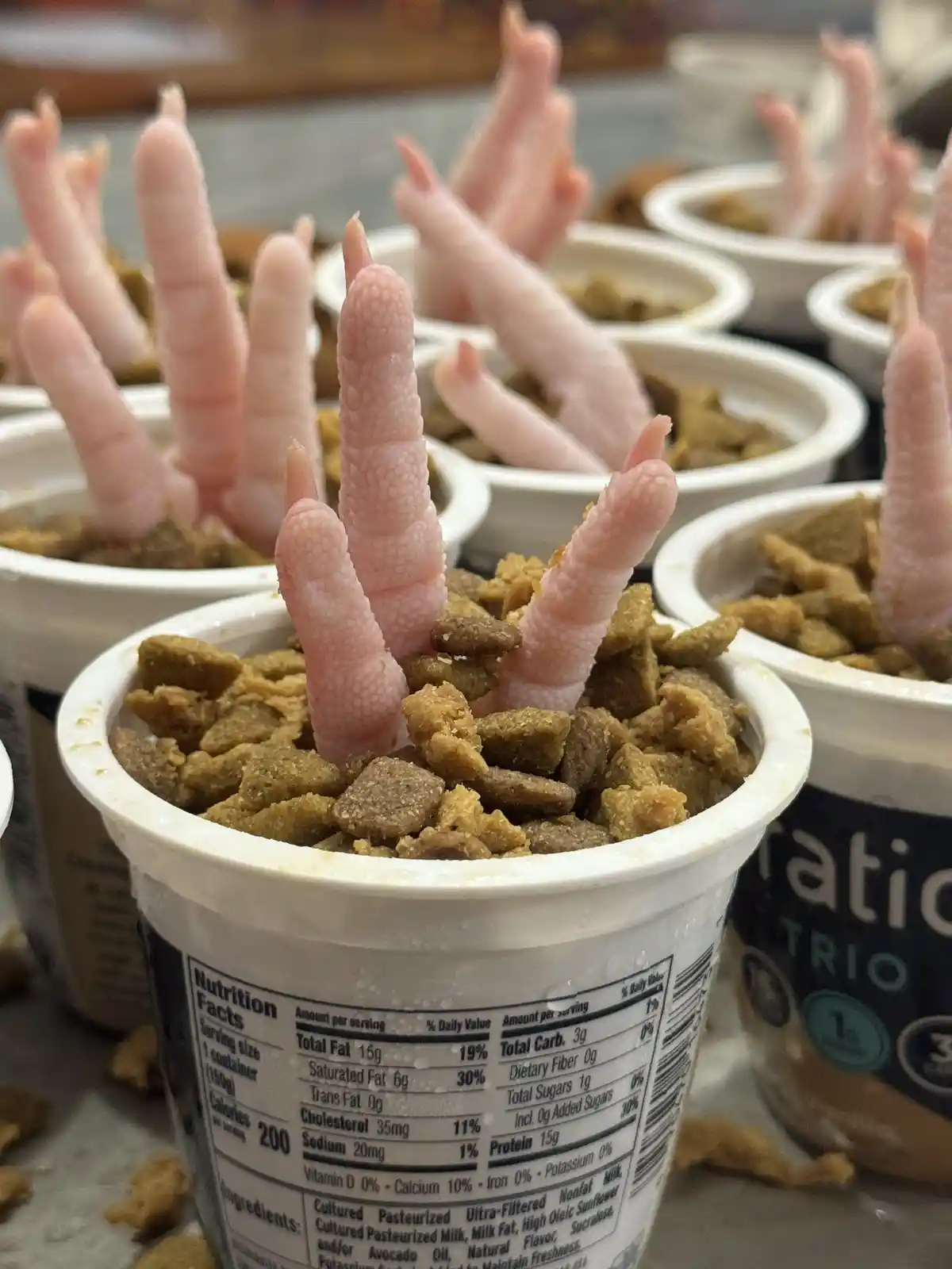 Multiple white yogurt cups filled with brown granular food, each with a pink chicken foot sticking out of the top…
