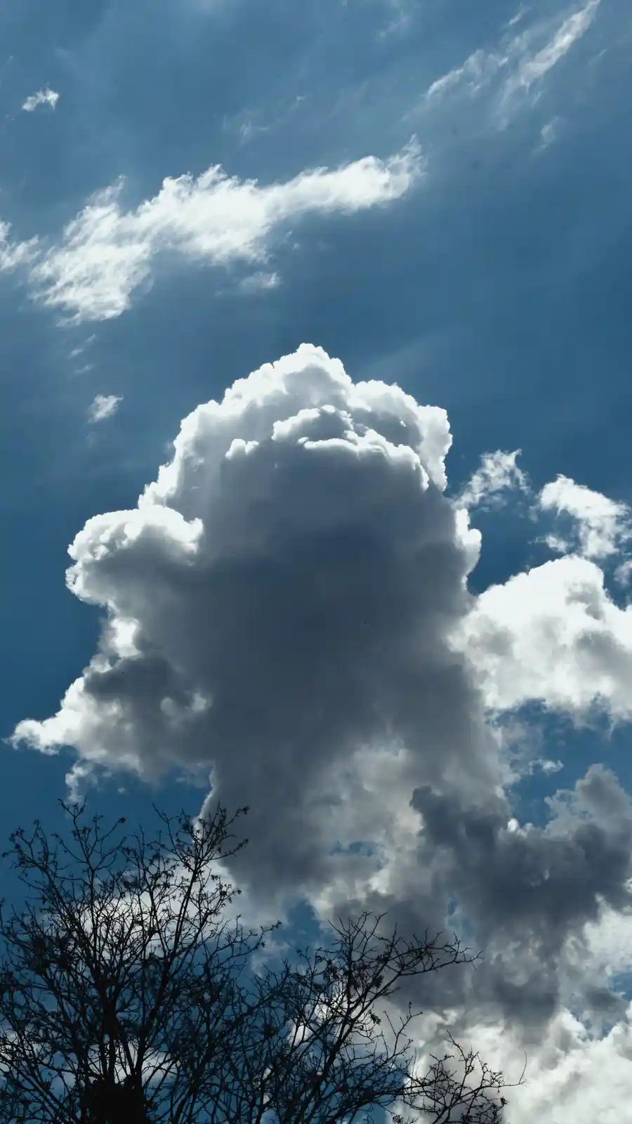 A dramatic sky photo shows a large, towering cumulus cloud against a deep blue background, with the silhouette of bare tree…