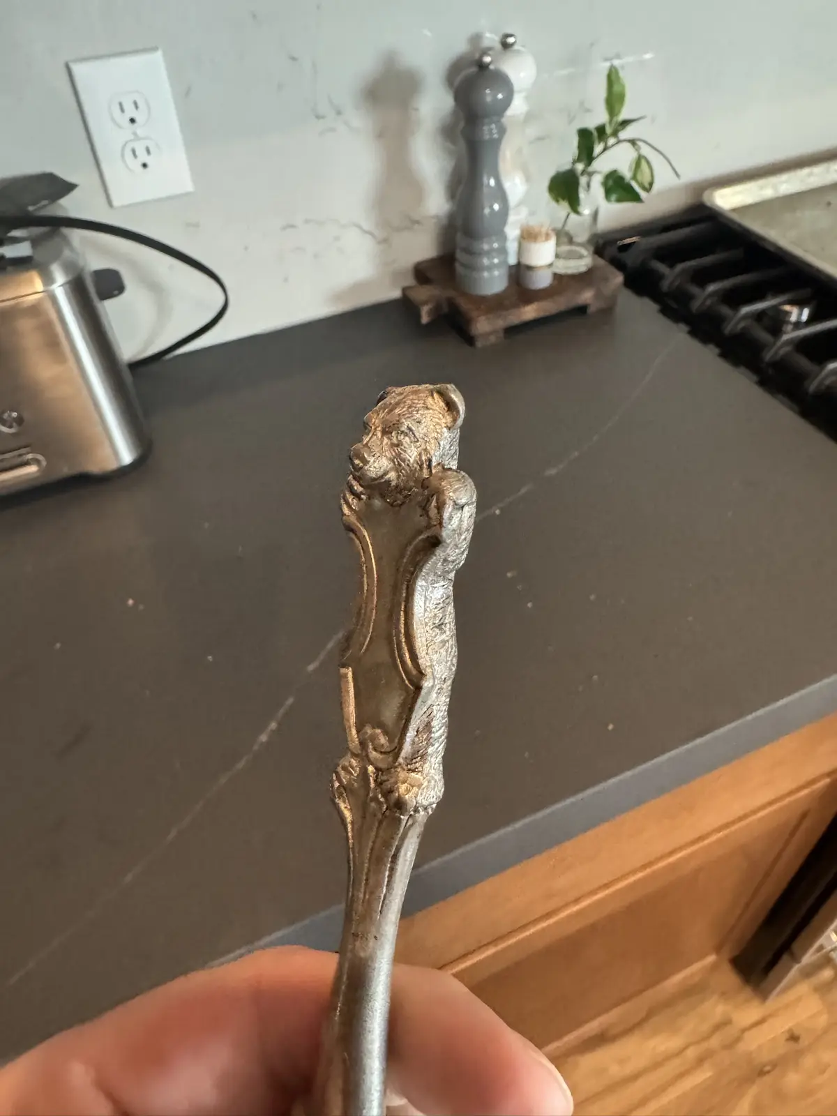 A hand holds an ornate silver utensil with a detailed bear head at the top, set against a kitchen counter with a toaster…