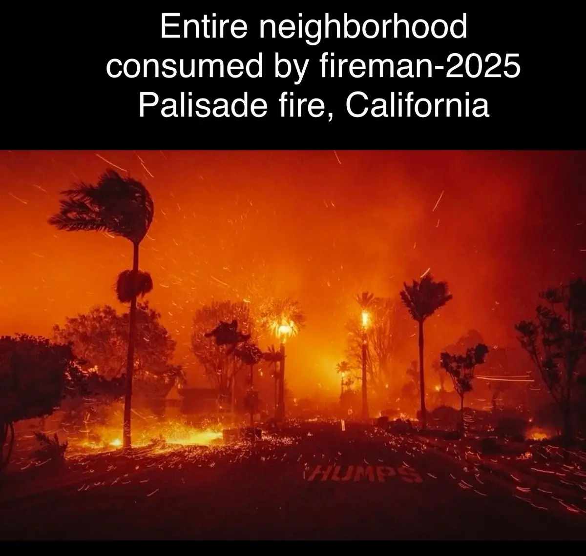 A dramatic photo of a neighborhood engulfed in wildfire, with palm trees silhouetted against an orange sky filled with…